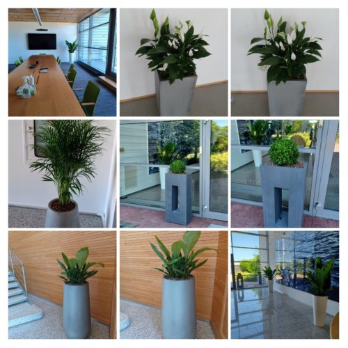 blog office garden blog office garden