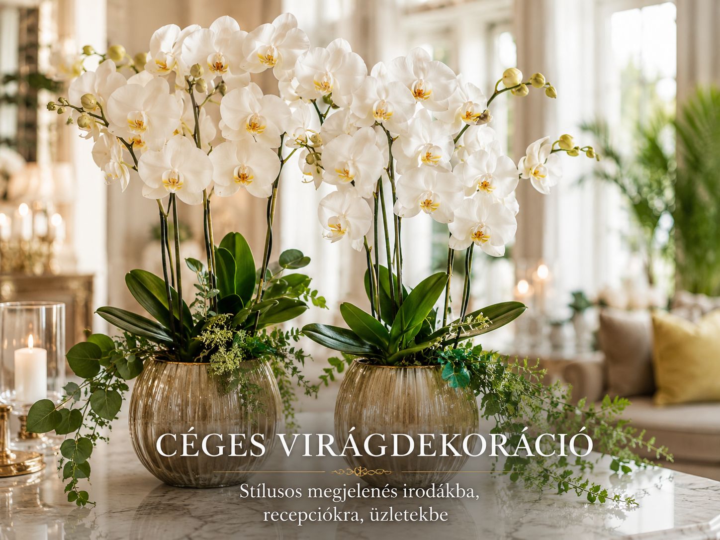 ceges 